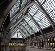 Oxford’s natural history museum to close for restoration