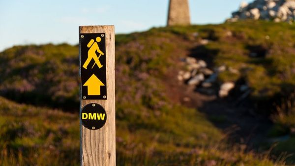 Free guided walks in the Dublin Mountains