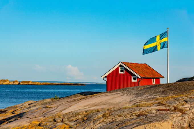 Swedish doctors and scientists criticise Swedish herd immunity strategy