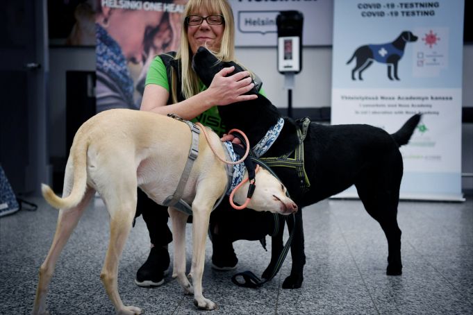 At Helsinki Airport dogs are used to detect covid-19