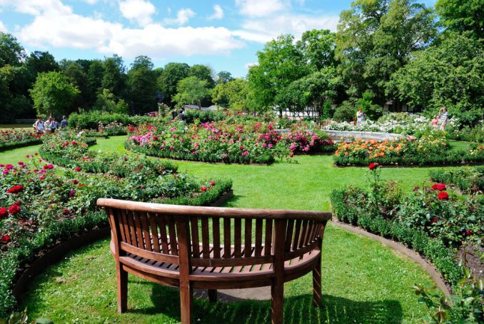 Egeskov Castle rose garden