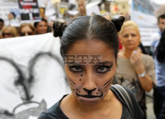 Animal lovers protest new law - image 2