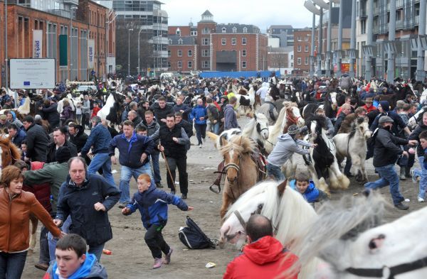 Two fairs a year for Dublin’s Smithfield - image 4