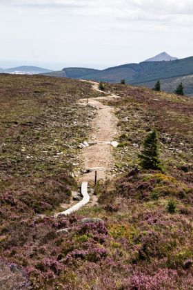 Free guided walks in the Dublin Mountains - image 2