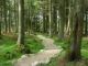 Free guided walks in the Dublin Mountains - image 3