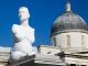 Blue cock in Trafalgar Square - image 3