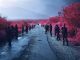 Richard Mosse: The Enclave - image 4