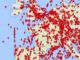 French airspace hit by controllers strike - image 2