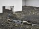 Olafur Eliasson: Riverbed - image 2