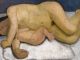 Paula Modersohn-Becker - image 3