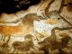 Lascaux - image 3