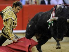 Spain's top court overturns Catalonia bullfighting ban