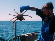 Cornish fishers to rename ‘under-loved’ species to attract British buyers